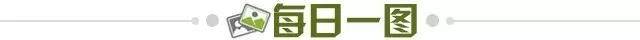 547f4278-6bb1-4108-a65a-a3bb3b4711dd.jpg@!img01